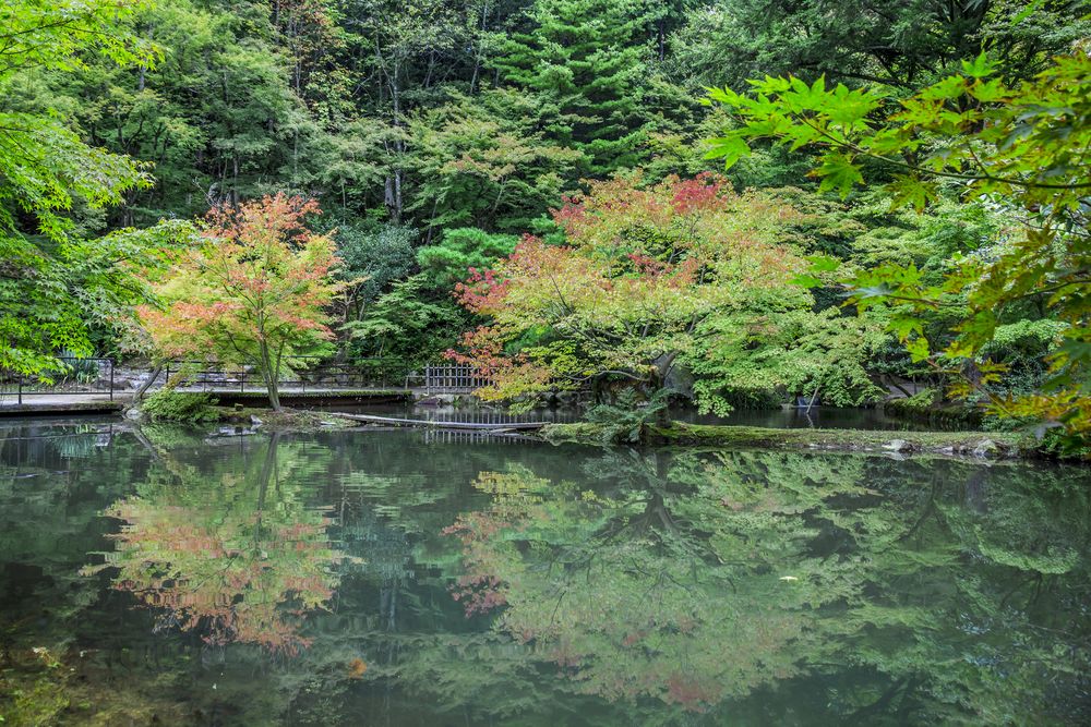 曽木公園の画像 - 2枚目