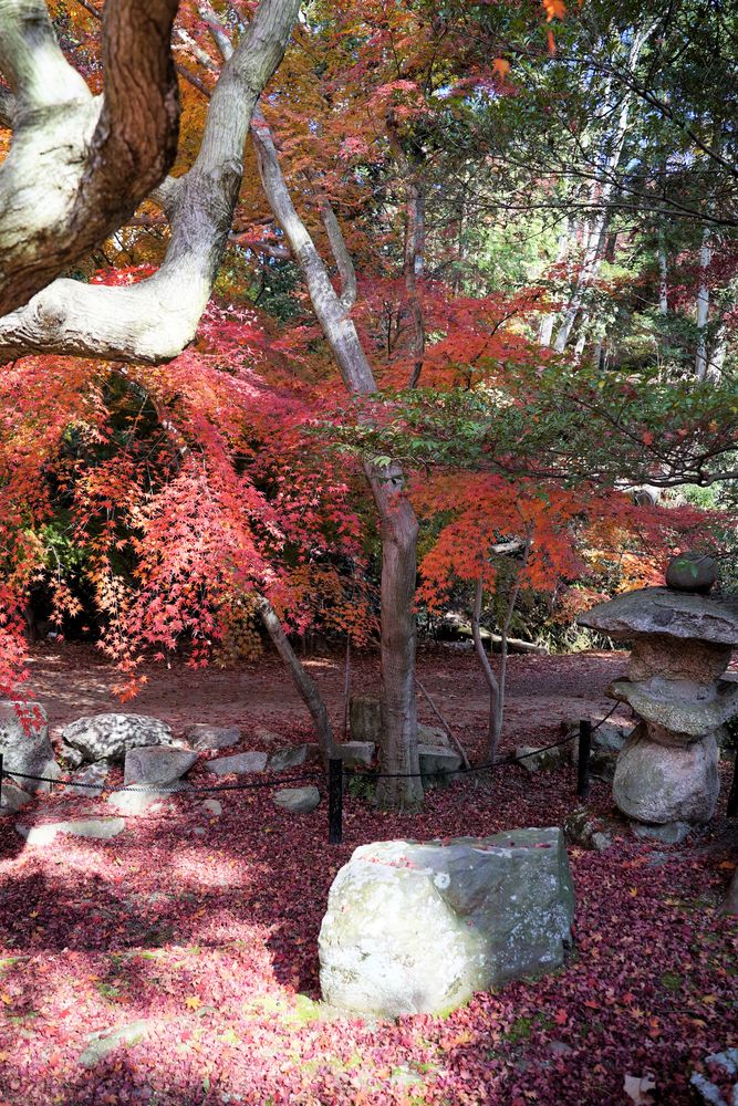 曽木公園の画像 - 4枚目