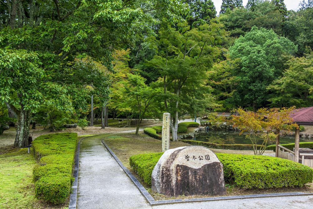 曽木公園の画像 - 7枚目