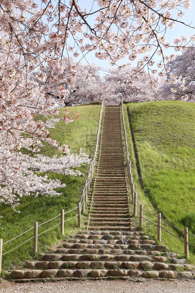 さきたま古墳公園の画像 - 4枚目