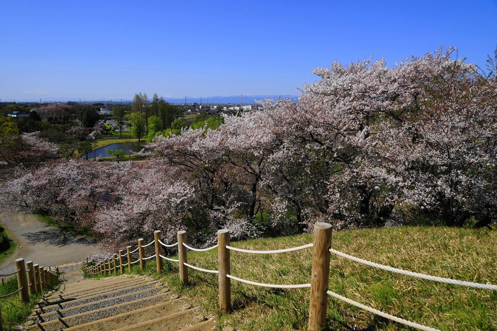 さきたま古墳公園の画像 - 5枚目