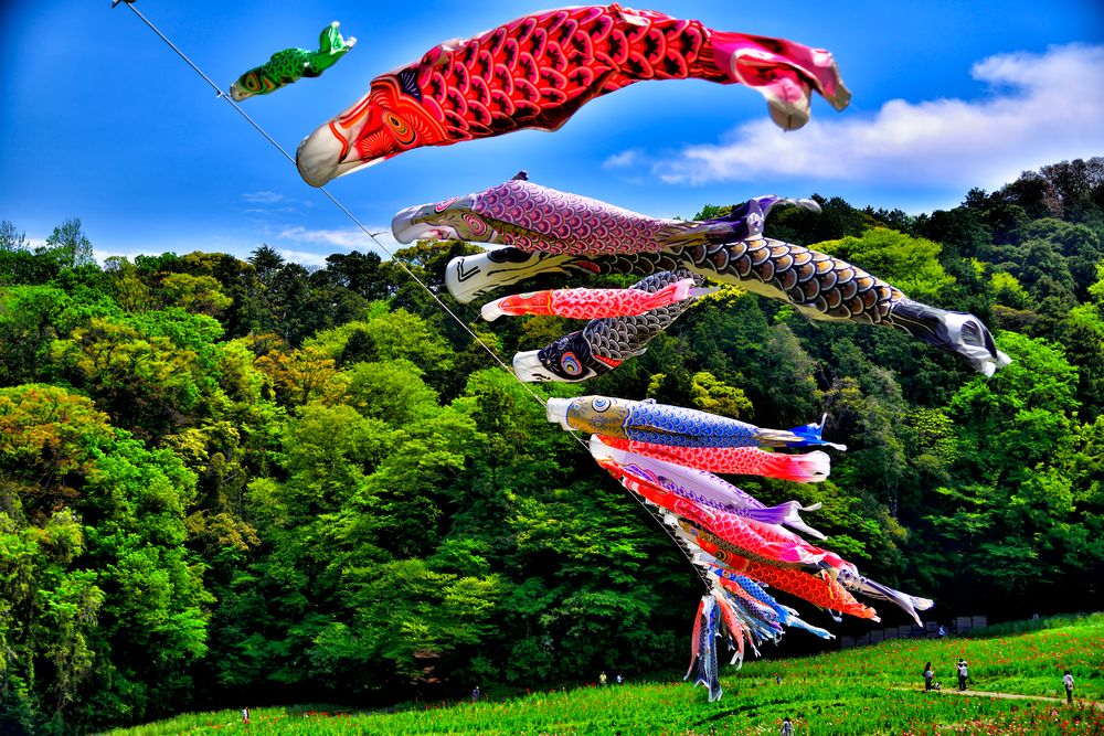 くりはま花の国の画像 - 5枚目