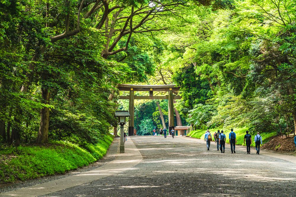 明治神宮の画像 - 5枚目
