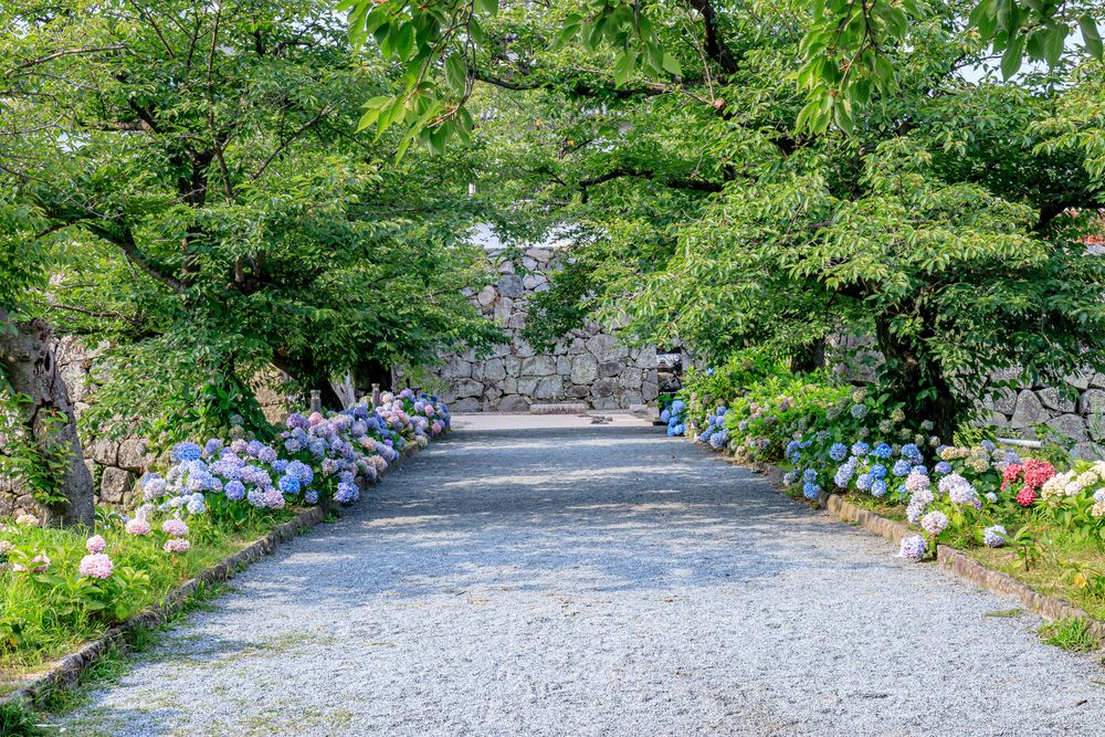 舞鶴公園の画像 - 3枚目