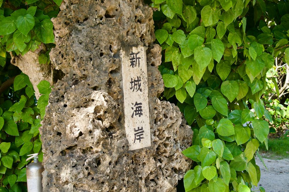 新城海岸の画像 - 6枚目