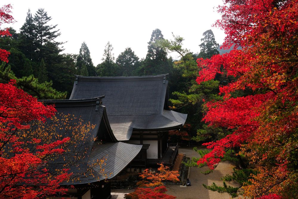 神護寺の画像 - 2枚目