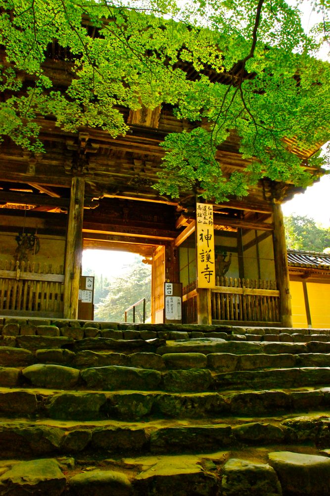 神護寺の画像 - 3枚目