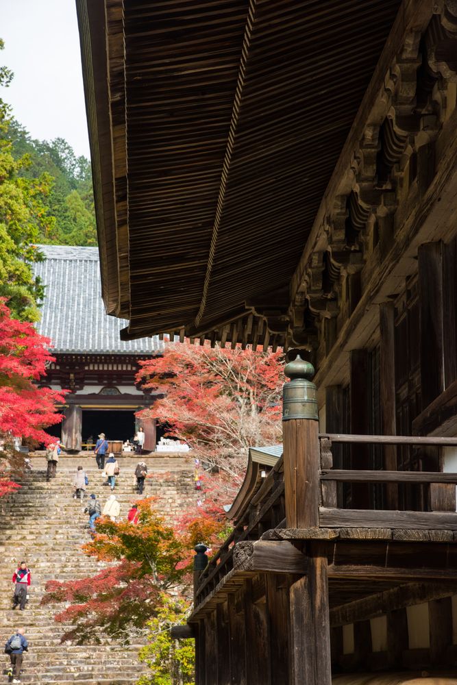 神護寺の画像 - 4枚目