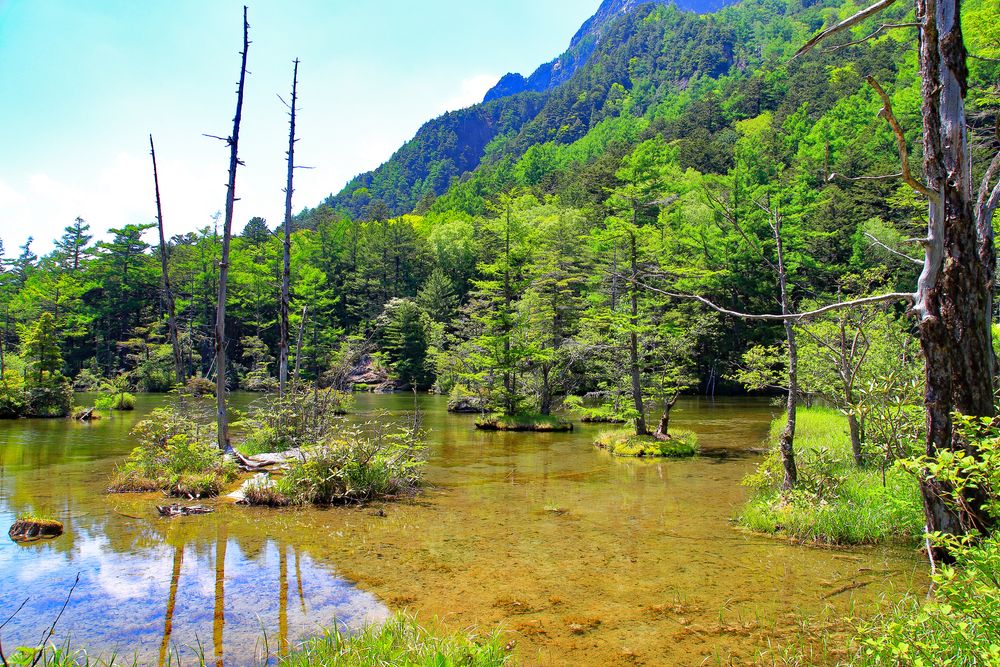 明神池の画像 - 4枚目