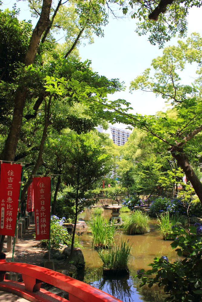 住吉神社の画像 - 2枚目