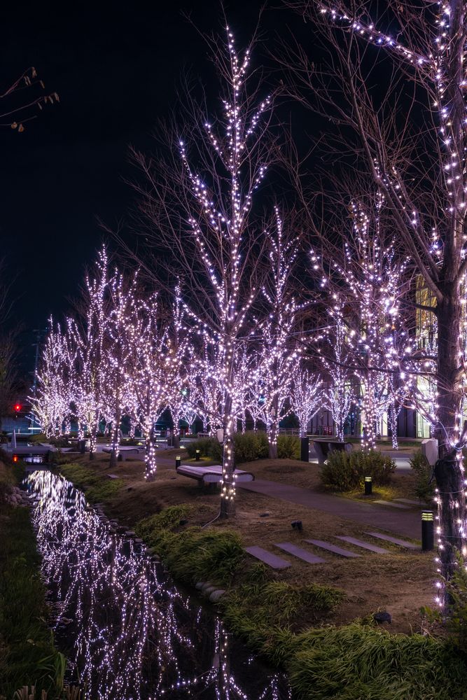 みんなの森 ぎふメディアコスモスの画像 - 3枚目