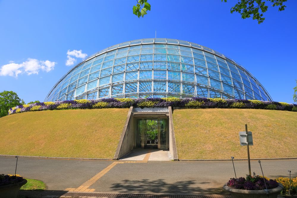 とっとり花回廊の画像 - 5枚目