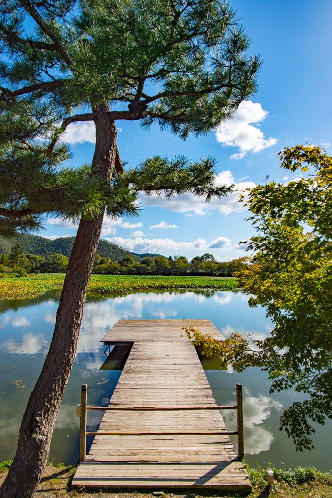 大覚寺の画像 - 2枚目