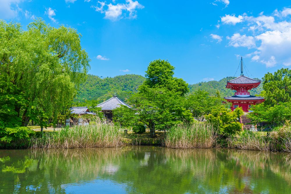 大覚寺の画像 - 8枚目