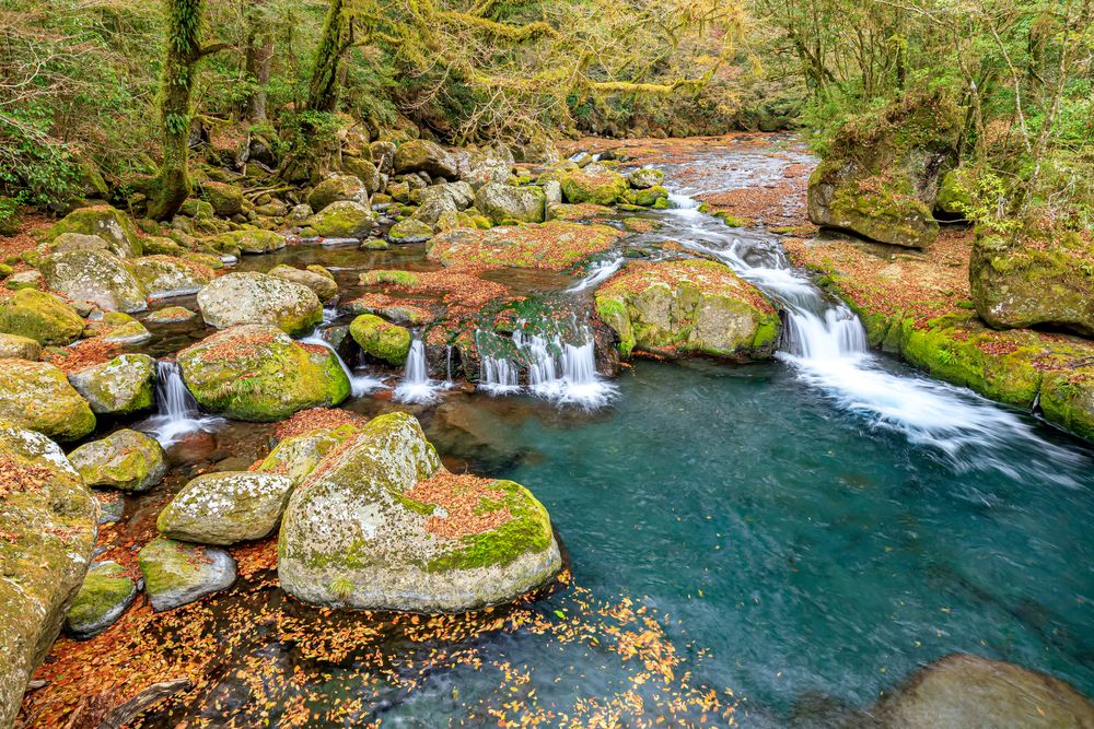 菊池渓谷】の周辺スポット・アクセス・口コミ - Prism Japan