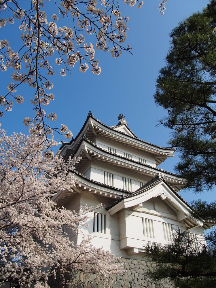 忍城の画像 - 4枚目