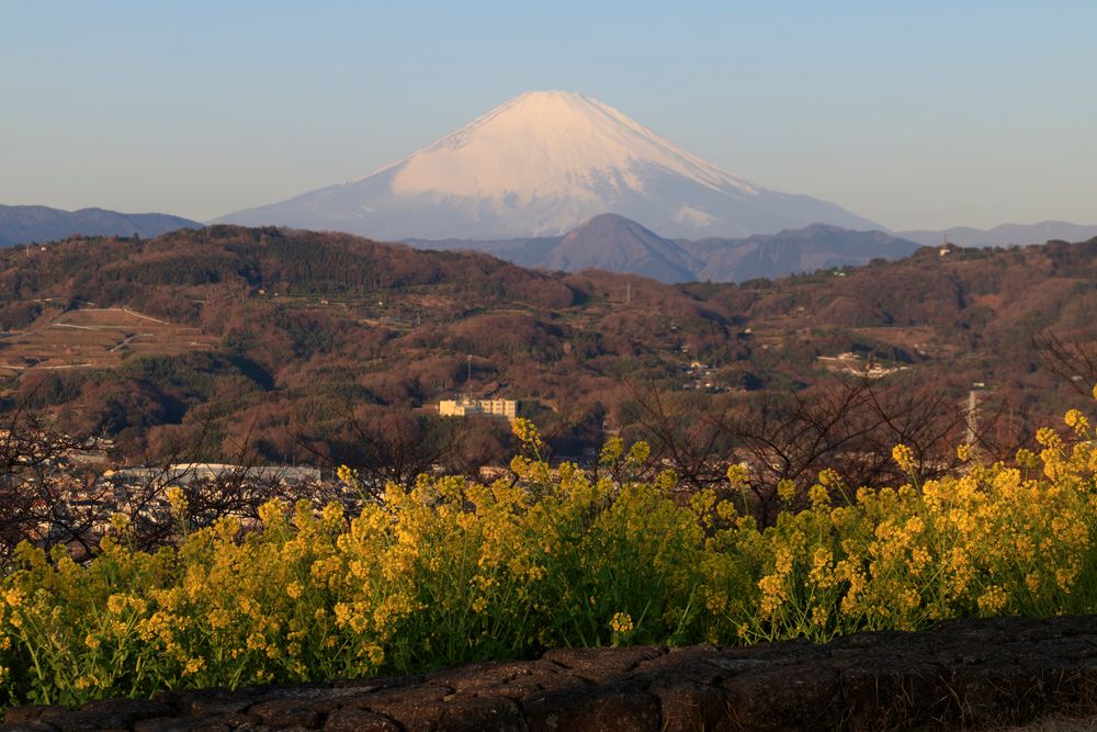 吾妻山公園