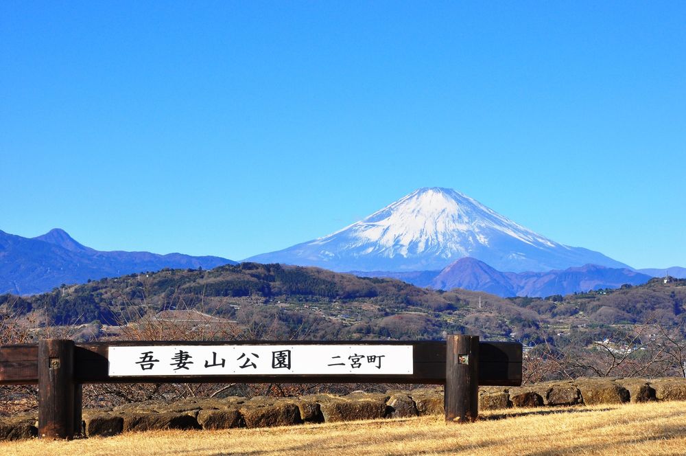 吾妻山公園の画像 - 6枚目