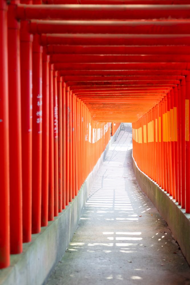 福徳稲荷神社の画像 - 2枚目