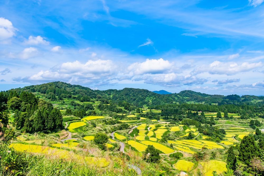 星峠の棚田の画像 - 2枚目