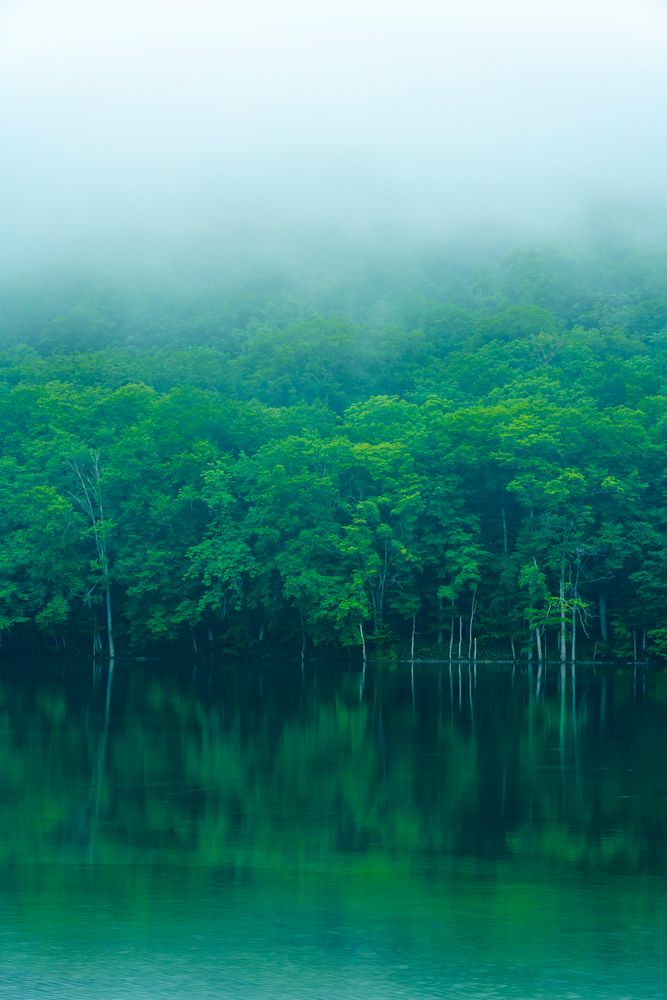 蔦沼の画像 - 5枚目