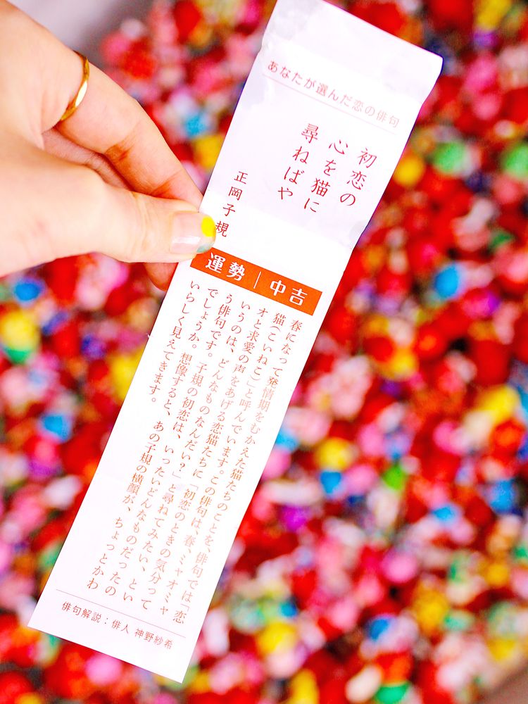 圓満寺の画像 - 2枚目