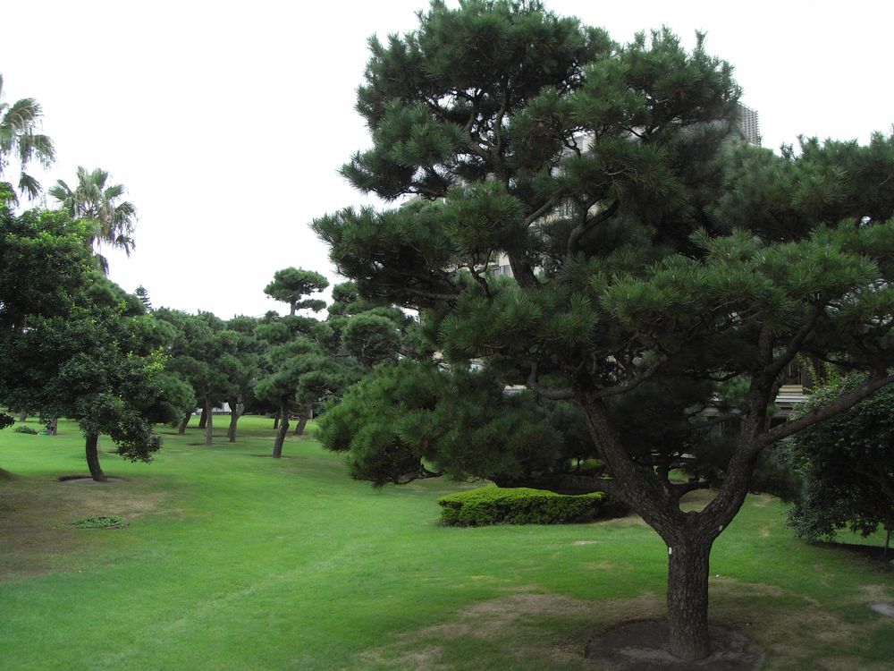 指宿温泉 指宿白水館の画像 - 3枚目