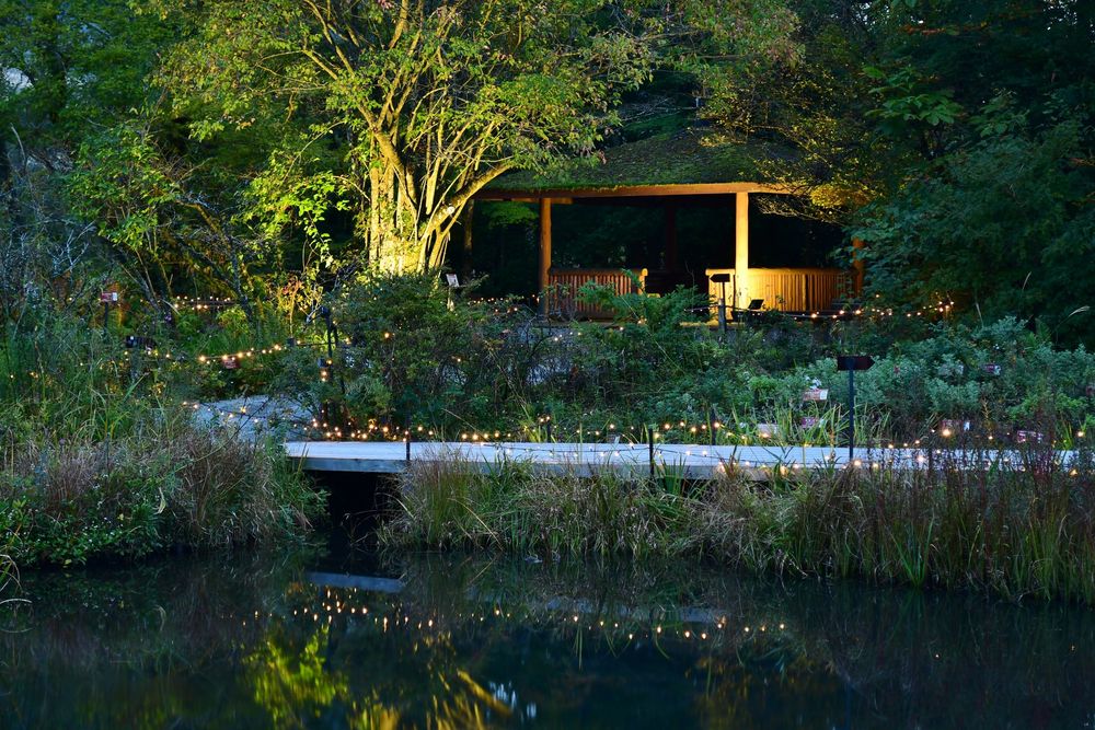 箱根湿生花園】の周辺スポット・アクセス・口コミ - Prism Japan