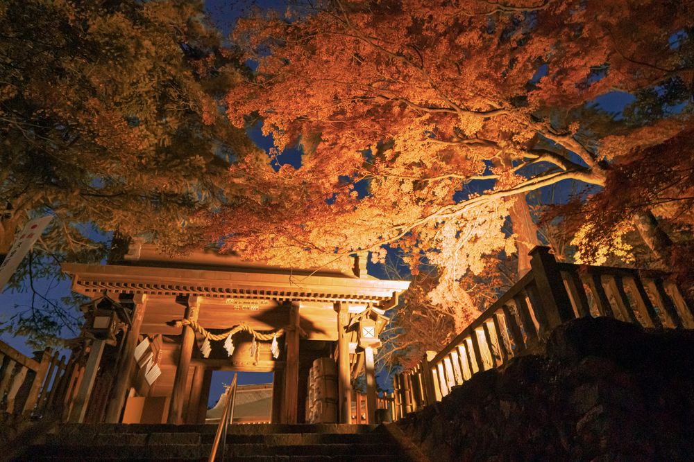 唐沢山神社の画像 - 2枚目