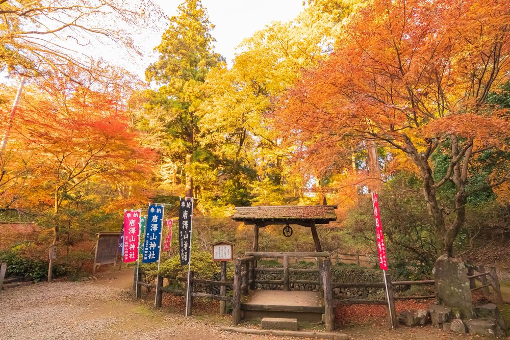 唐沢山神社の画像 - 3枚目