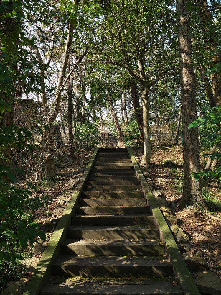 唐沢山神社の画像 - 4枚目