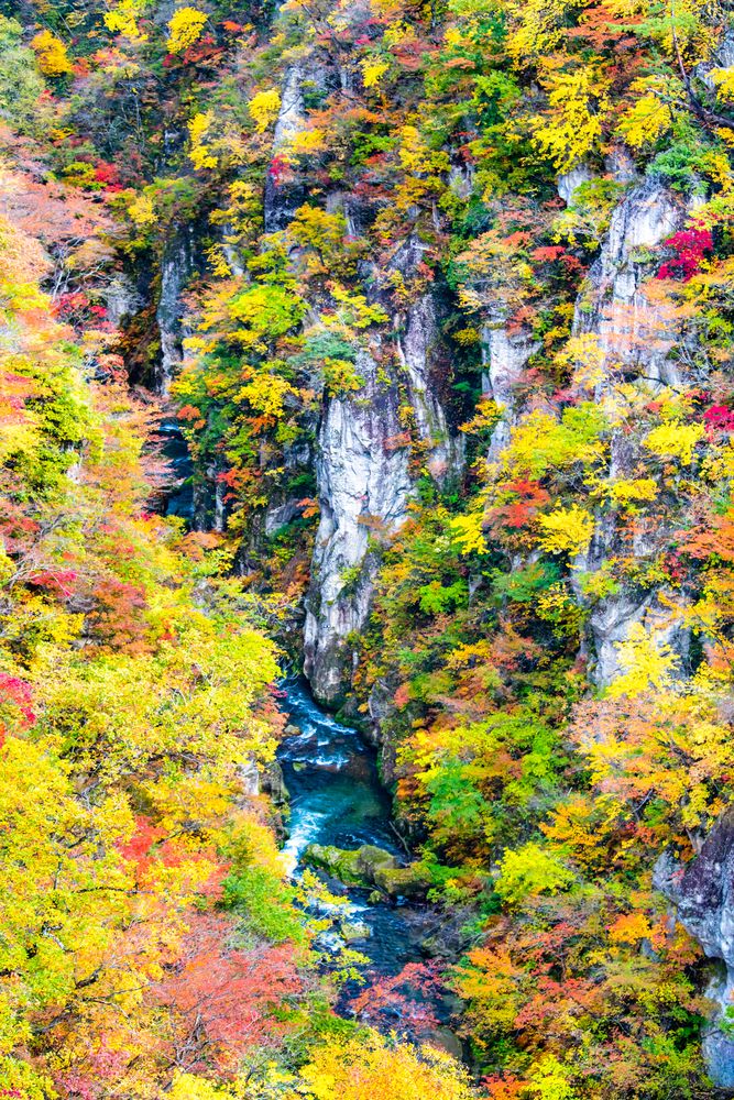 鳴子峡の画像 - 2枚目