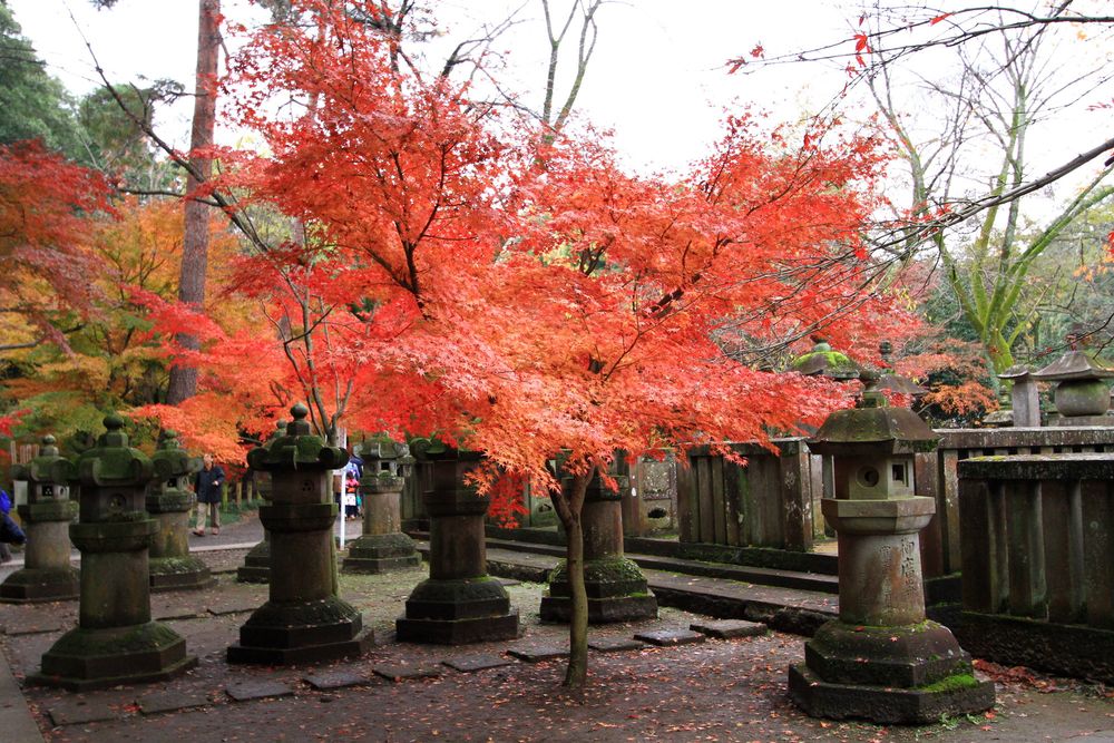 平林寺の画像 - 2枚目