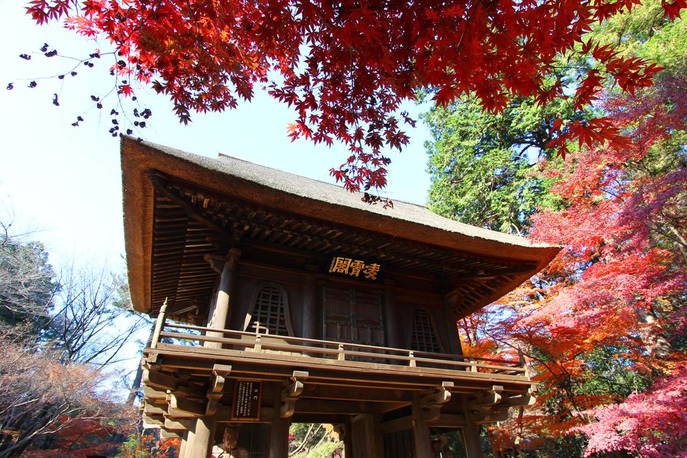 平林寺の画像 - 3枚目