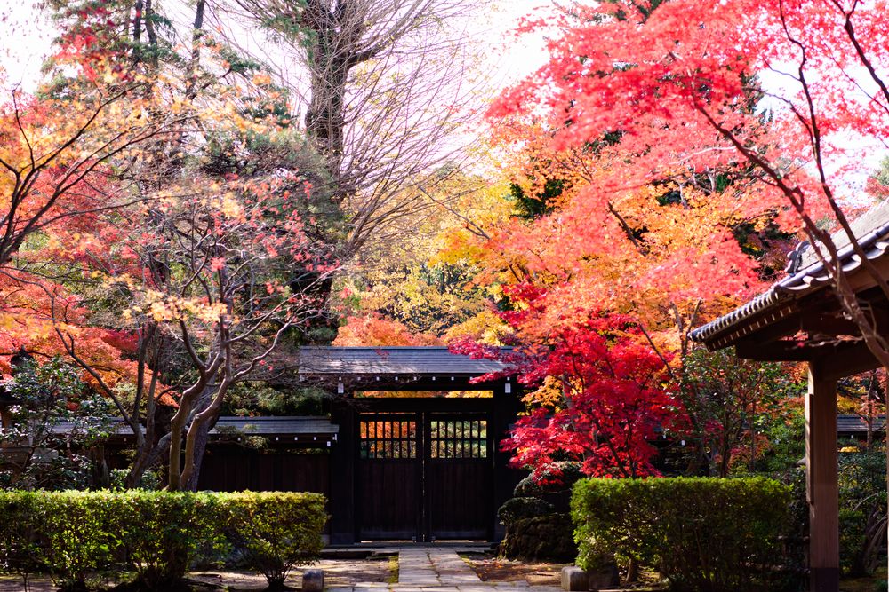 平林寺の画像 - 4枚目