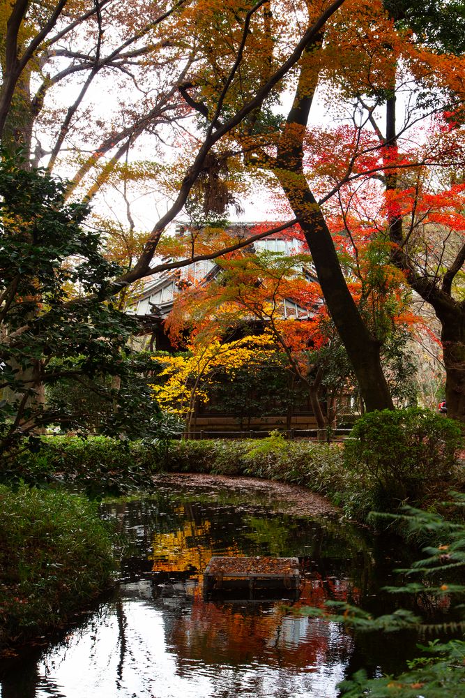 平林寺の画像 - 5枚目