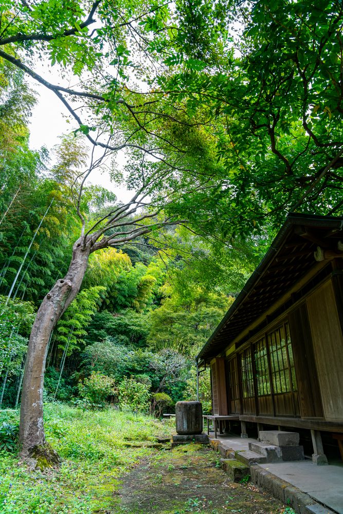 英勝寺の画像 - 4枚目