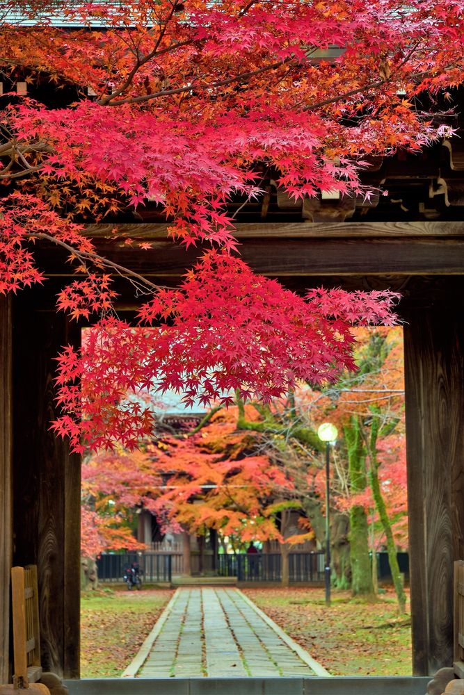 東漸寺の画像 - 4枚目