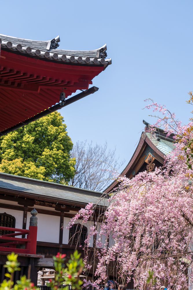 寛永寺 清水観音堂の画像 - 3枚目