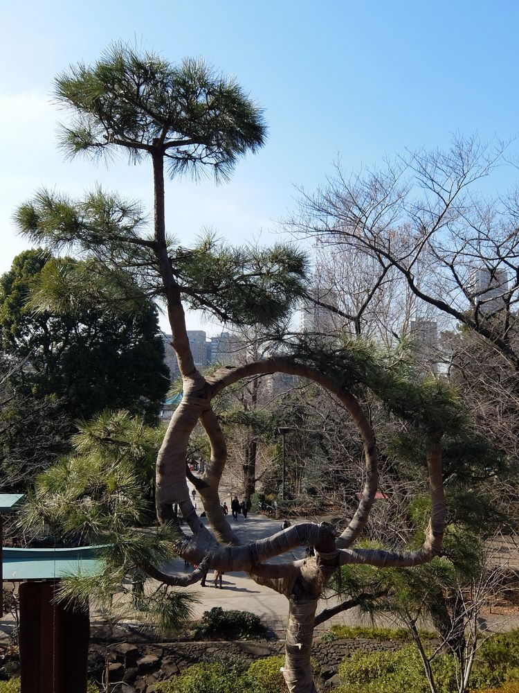 寛永寺 清水観音堂の画像 - 4枚目