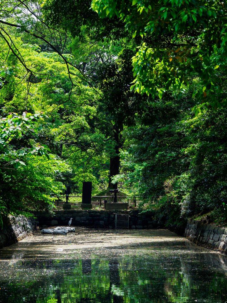 浜離宮恩賜庭園の画像 - 2枚目