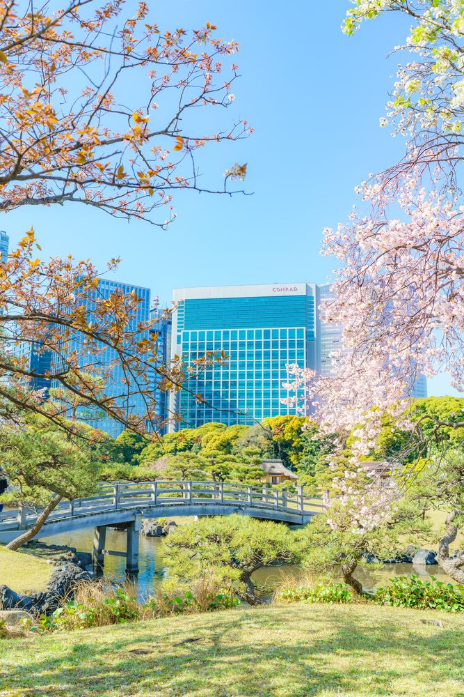 浜離宮恩賜庭園の画像 - 3枚目