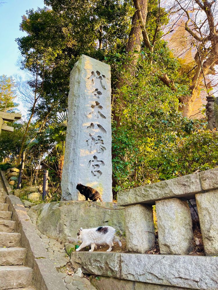 代々木八幡宮の画像 - 4枚目
