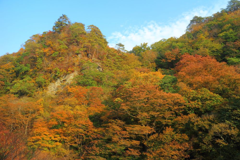 吾妻渓谷の画像 - 3枚目