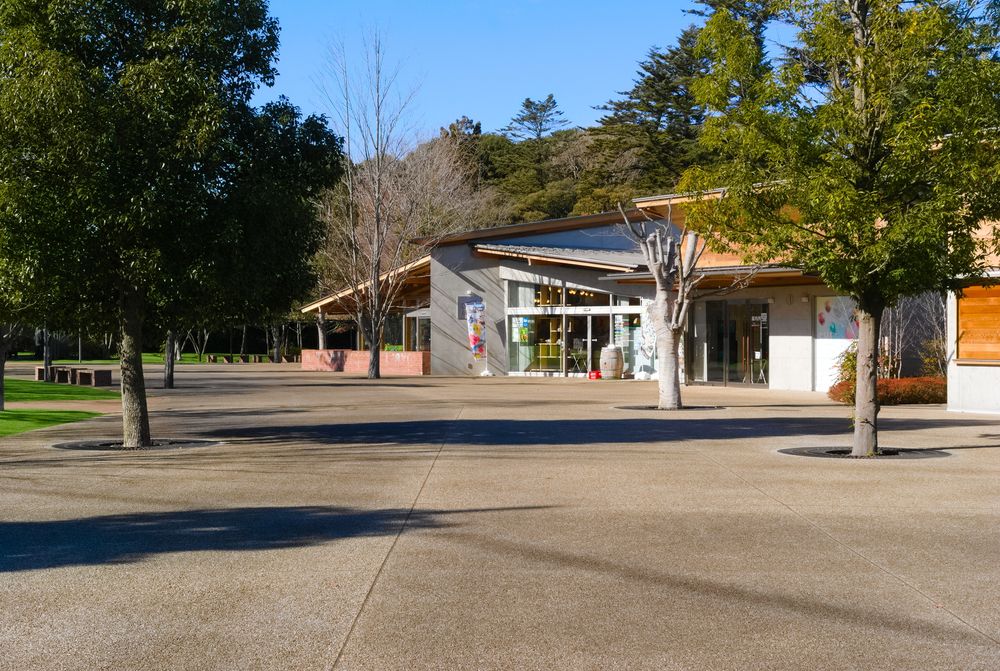 清水公園の画像 - 2枚目