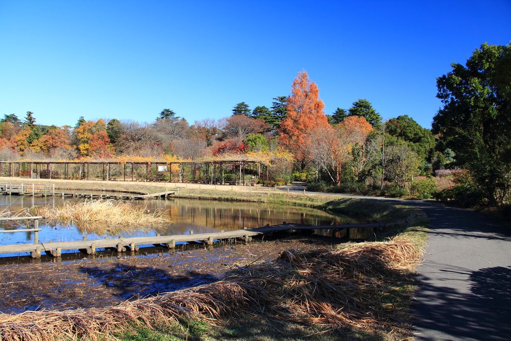 清水公園の画像 - 3枚目