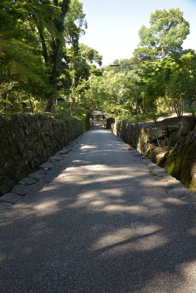 興聖寺の画像 - 4枚目