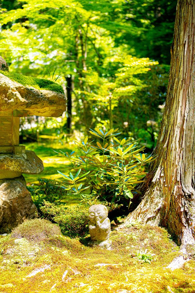 三千院の画像 - 3枚目
