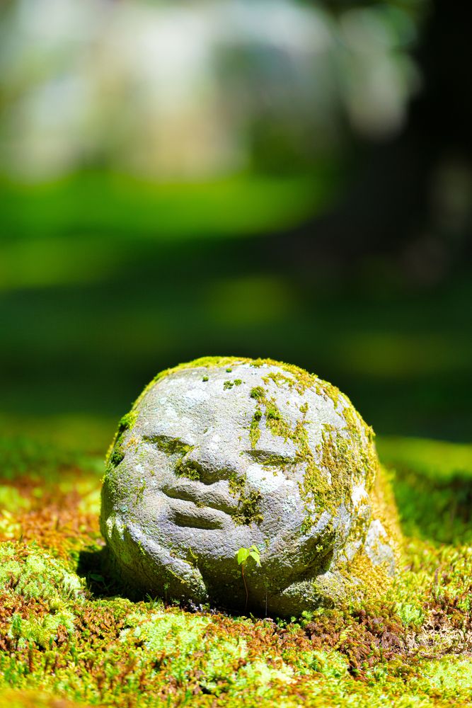 三千院の画像 - 4枚目