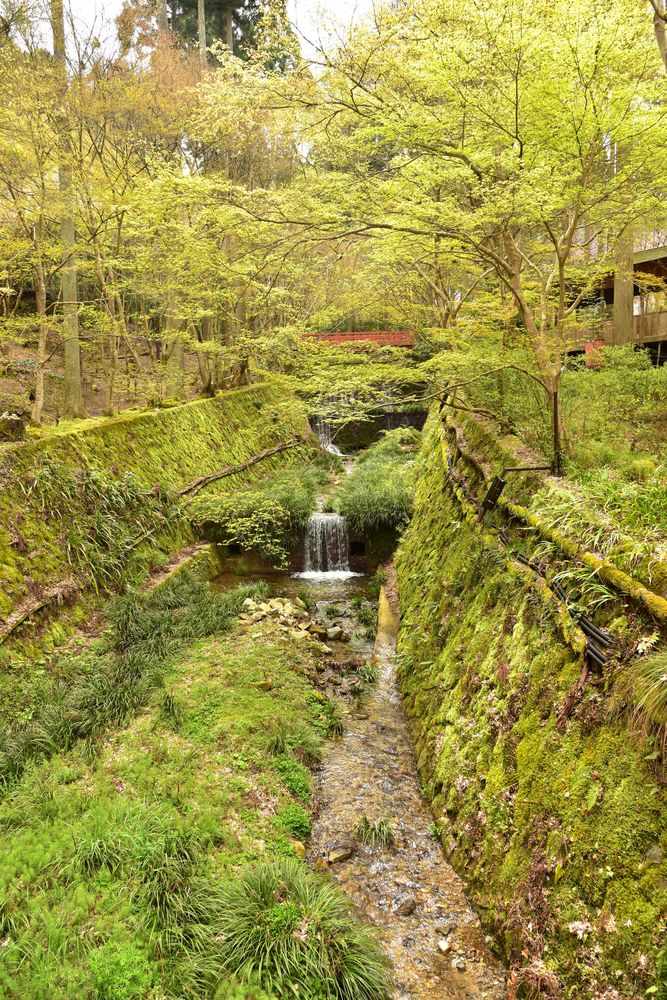 三千院の画像 - 5枚目